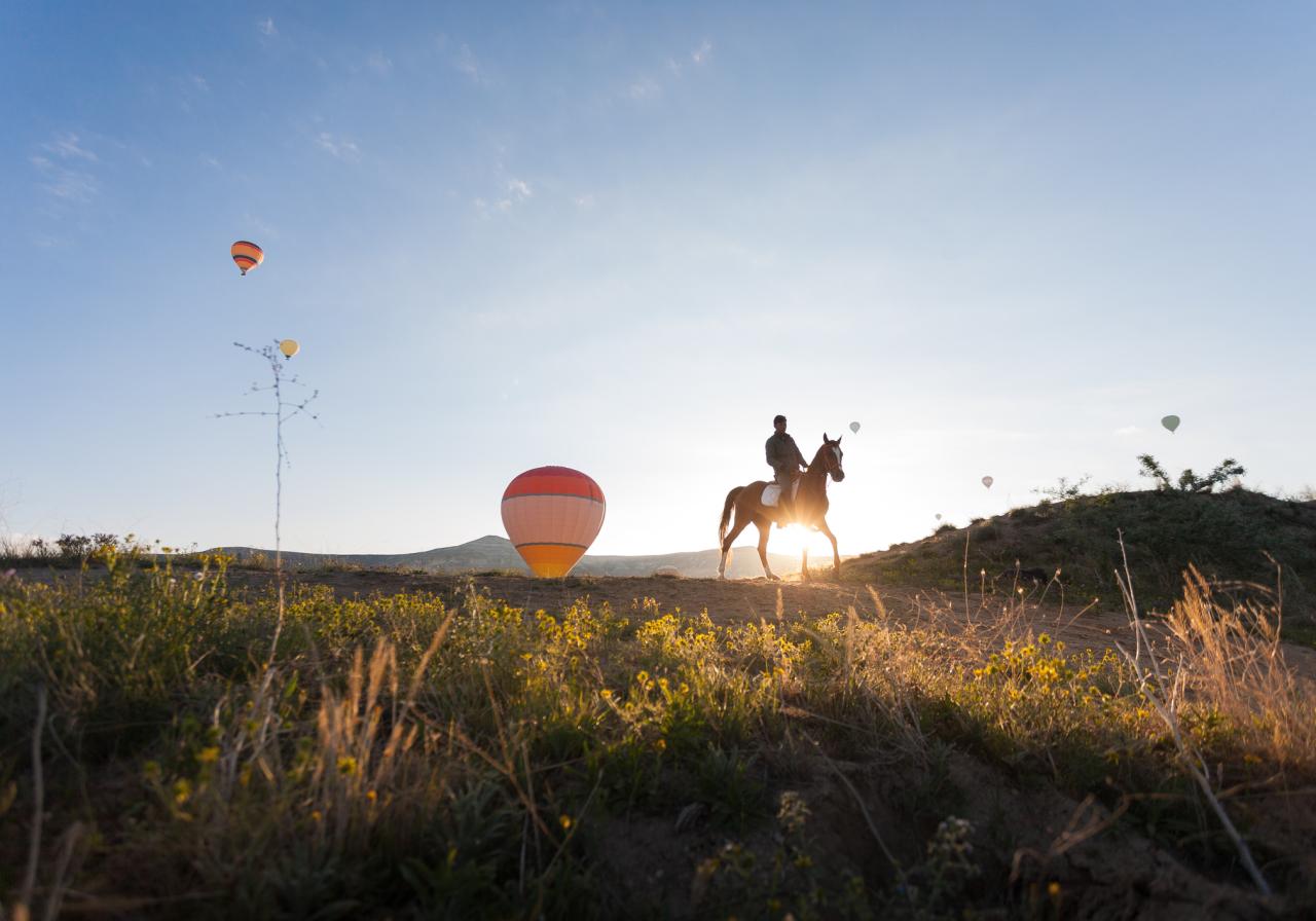 SUNRISE HORSE RIDING TOUR